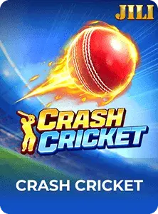 Crash Cricket